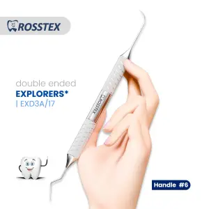 Explorer fig. 3A/17 with handle no. 6 double ended
